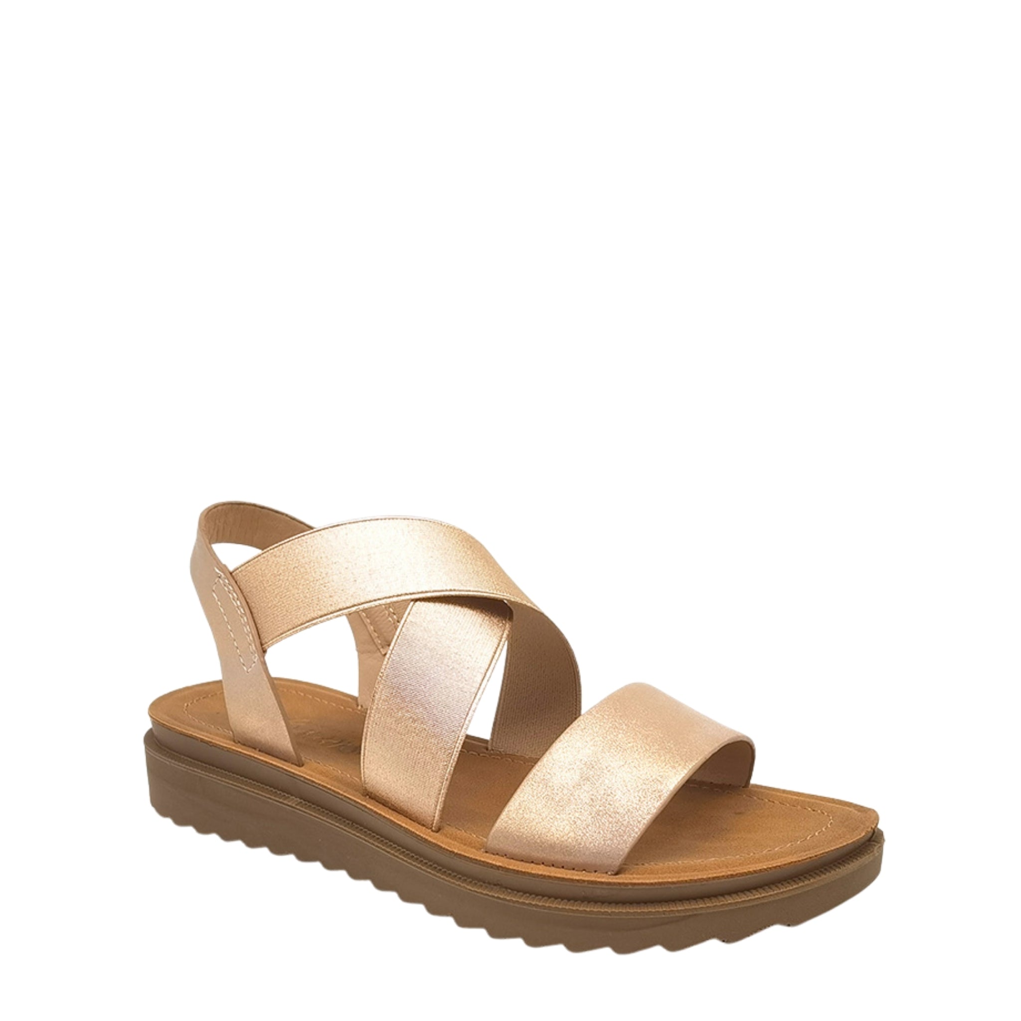 LS8841WF LADIES R.GOLD